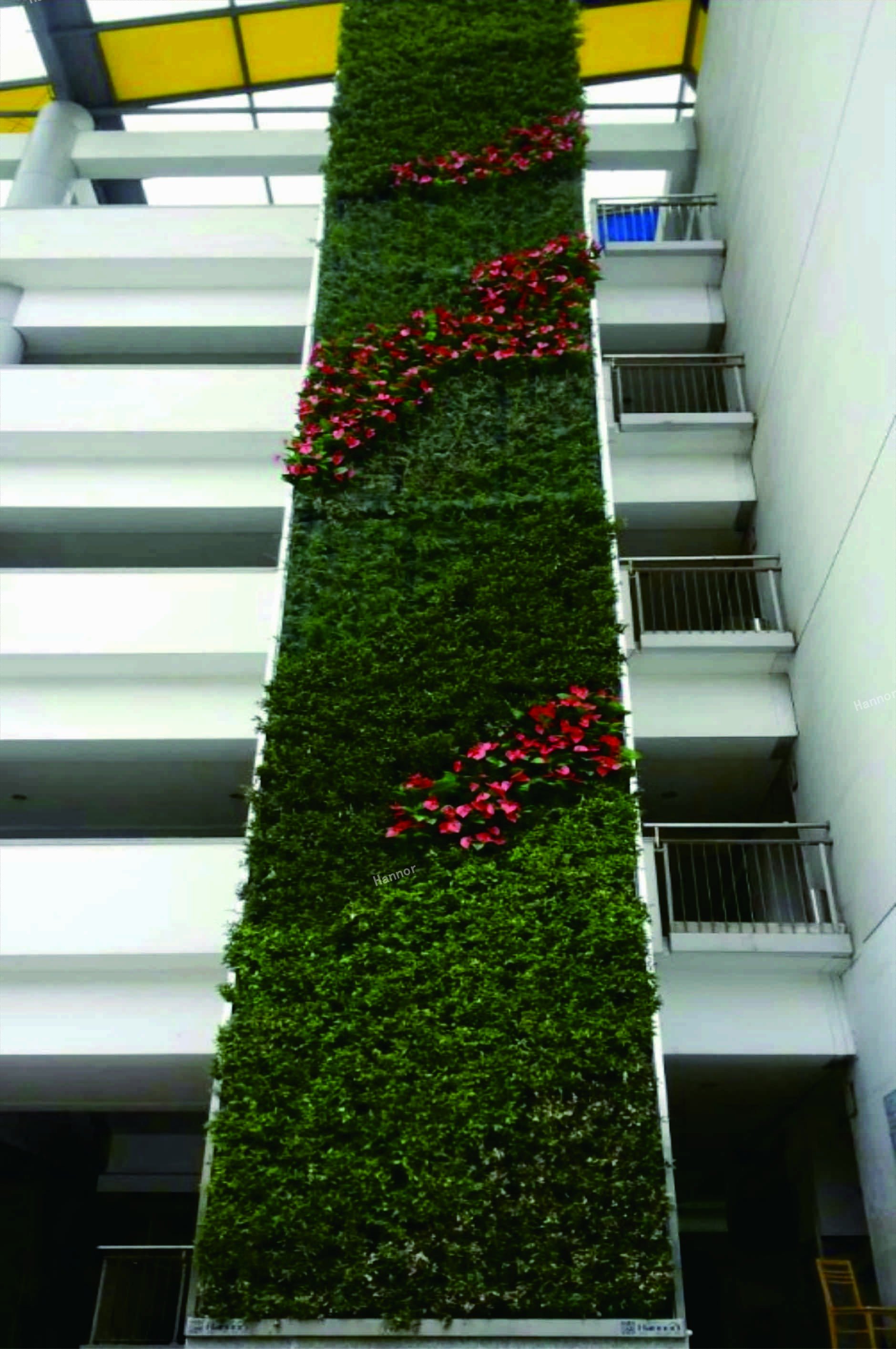 项目先容 | 上外洋国语大学室外植物墙
