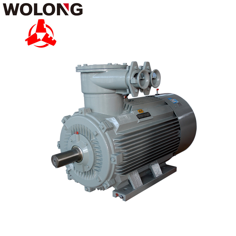 粉塵防爆電機的特點