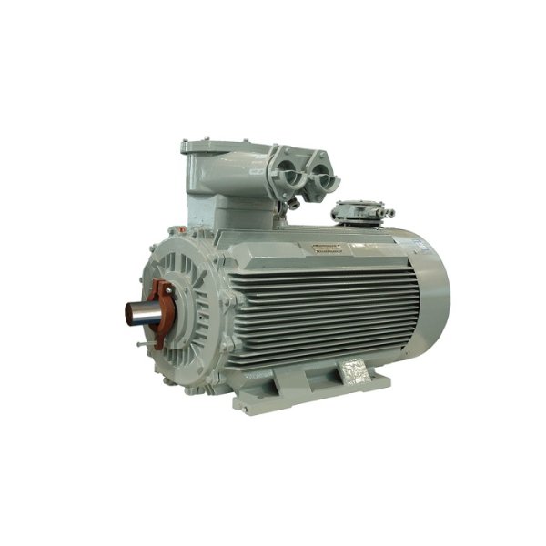 臥龍南陽(yáng)YBBP系列變頻防爆電機(jī)