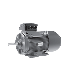YE4系列超高效電機(jī).png