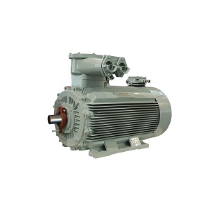 南陽(yáng)YBBP系列防爆電機(jī).jpg