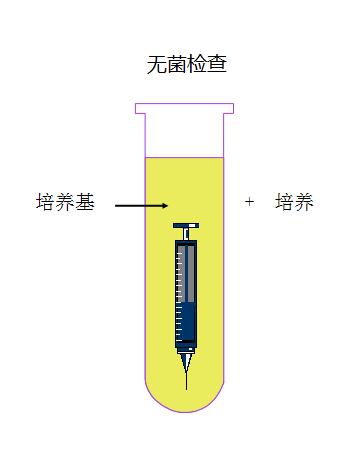 無菌檢查.jpg