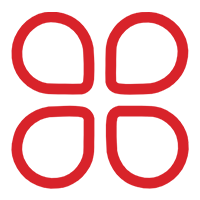 06