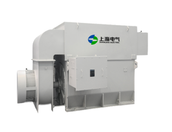 上海高壓電機(jī)