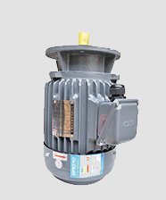 TECOF系列高效電機(jī)