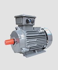 TECOJ3超高效電機(jī)