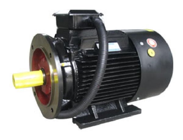 貝能LMYS系列電機(jī)
