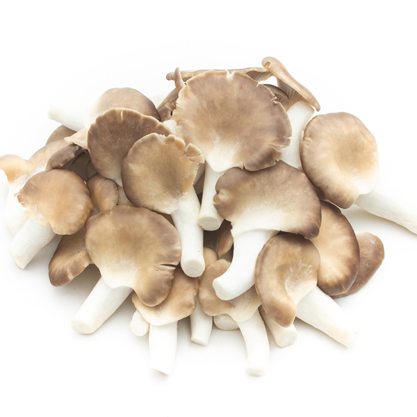 秀珍菇鲜品