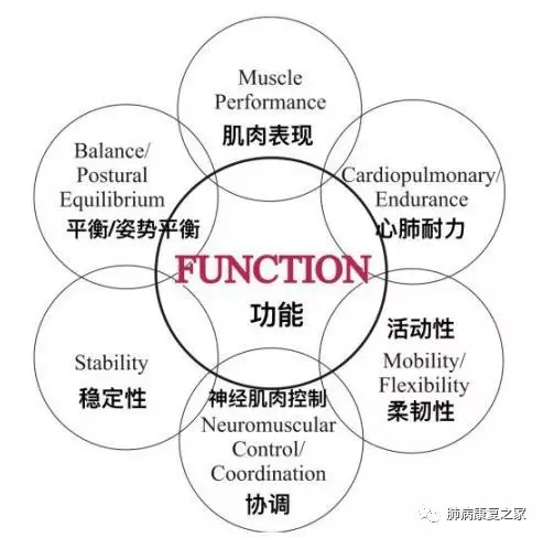 全身運動訓(xùn)練康復(fù)系統(tǒng).jpg