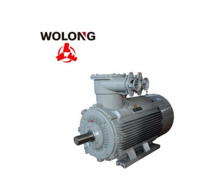 臥龍南陽(yáng)防爆電機(jī)