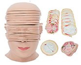 gao級頭部水平切面模型（17片）