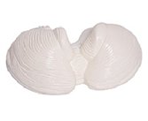 gao級小腦放大模型（2部件）