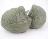 小腦放大模型（2部件）（帶數字標識）