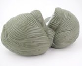 小腦放大模型（2部件）（帶數字標識）