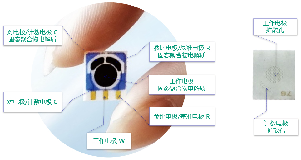 Principles of Solid State Polymer Electrochemical Technology-Ningbo ...