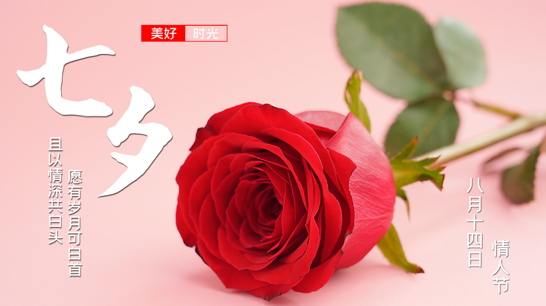 七夕｜愿你遇良人，暖色浮余生