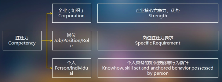 素质胜任力模型