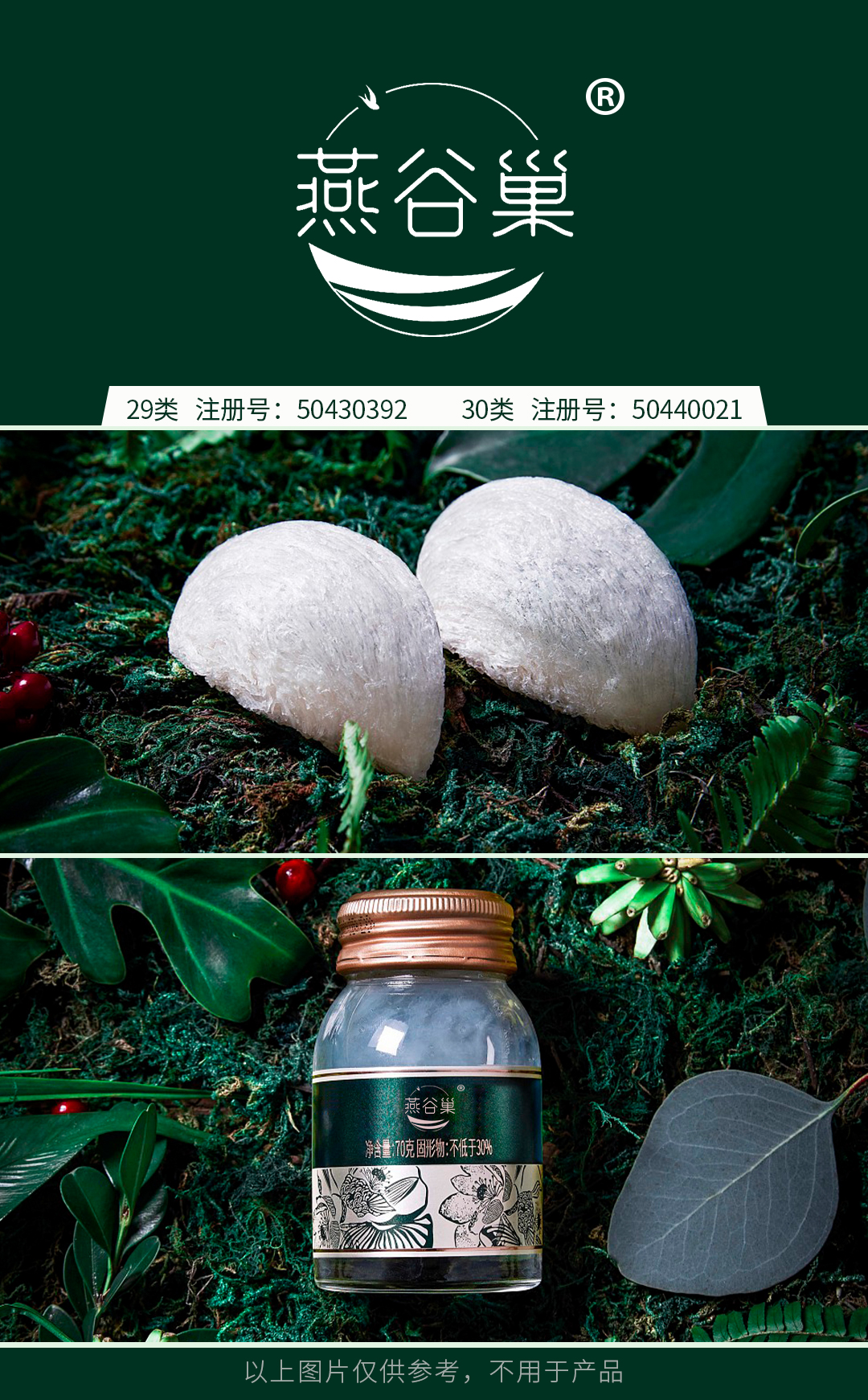 30+29-燕谷巢-燕窩.jpg