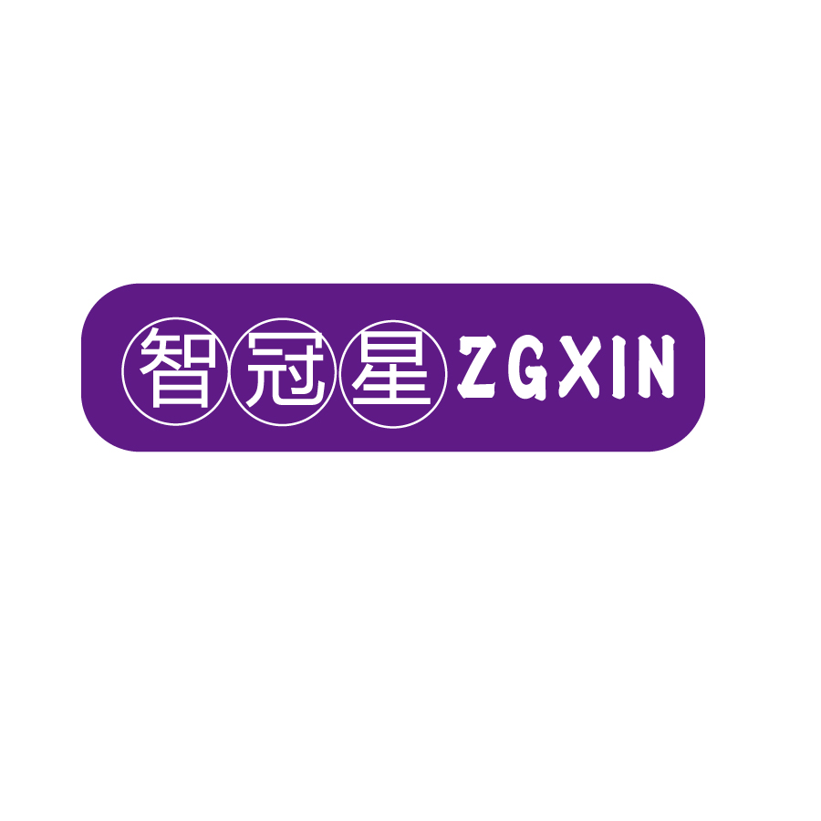 智冠星ZGXIN