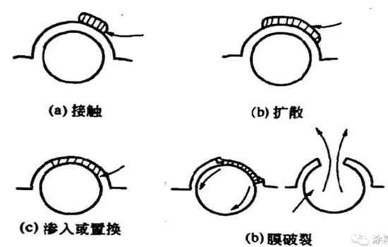 涂料中的氣泡和泡沫是怎樣產(chǎn)生的？又如何消除？-蘇州青田新材料有限公司