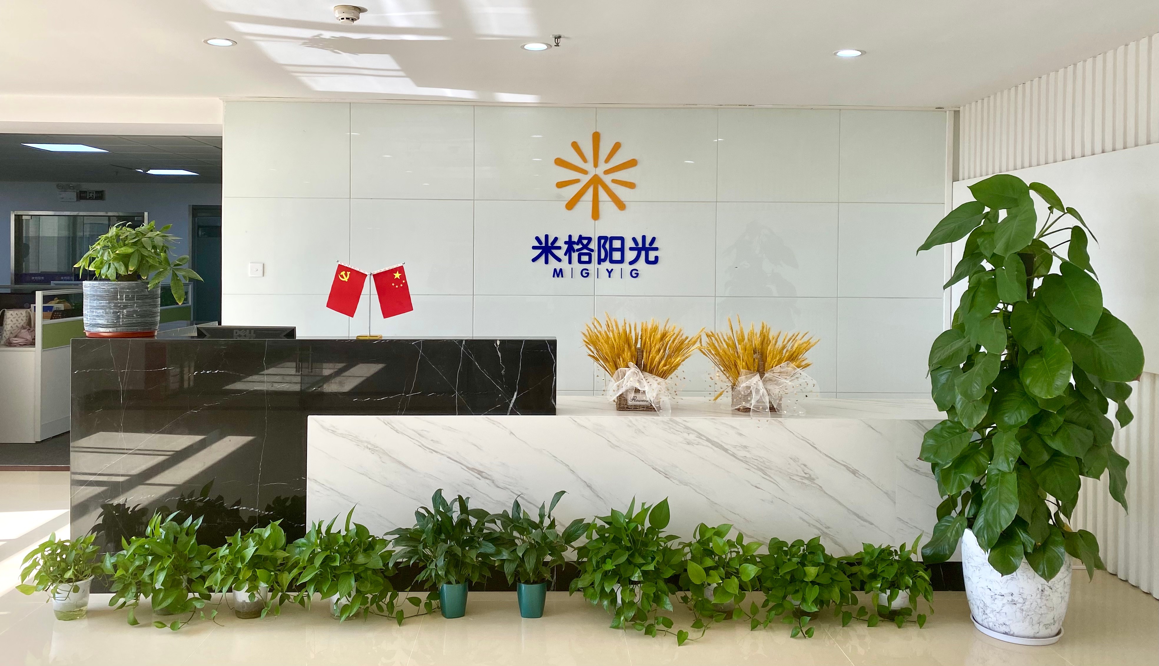 米格陽光完成天使輪融資