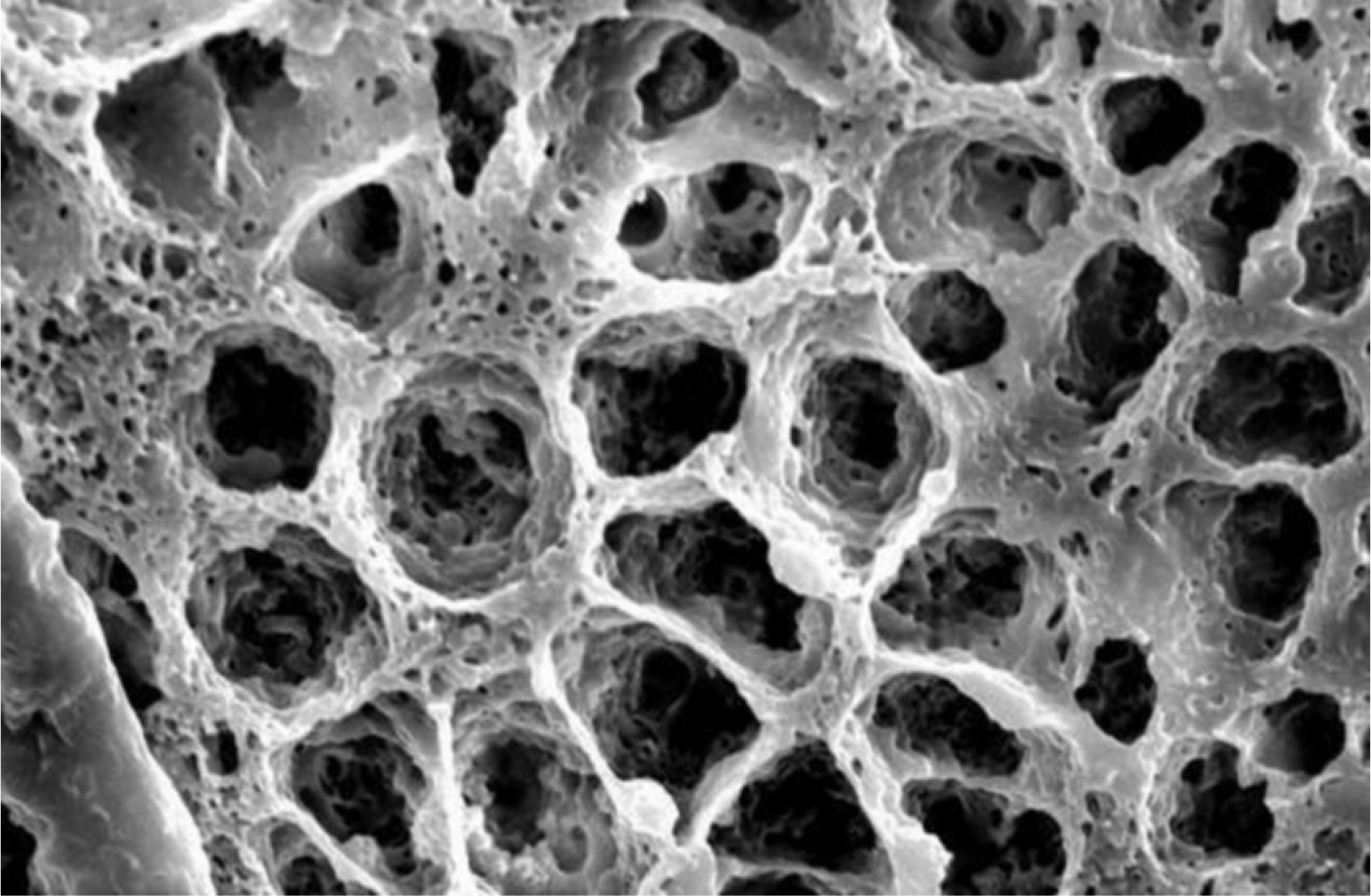 多孔介質(zhì)種類分析介紹