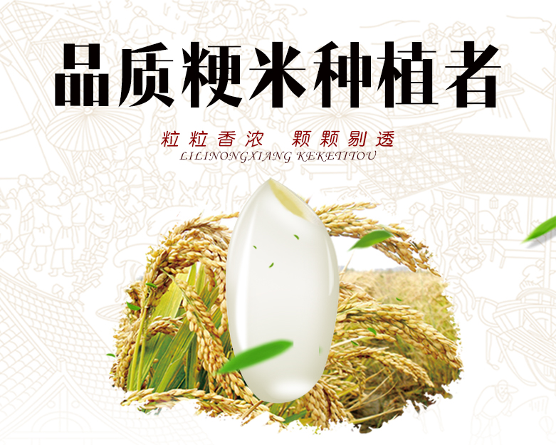 轉基因大米的危害有哪些 如何鑒別轉基因大米