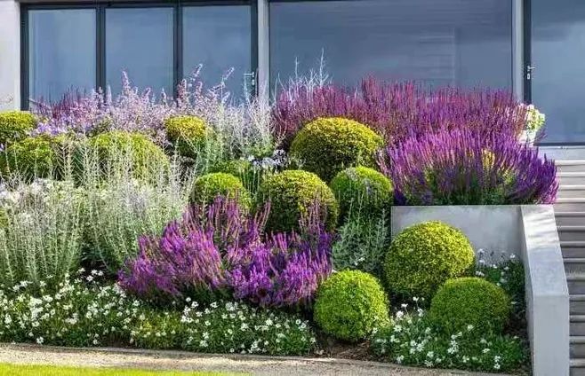 花園種植工藝標準化