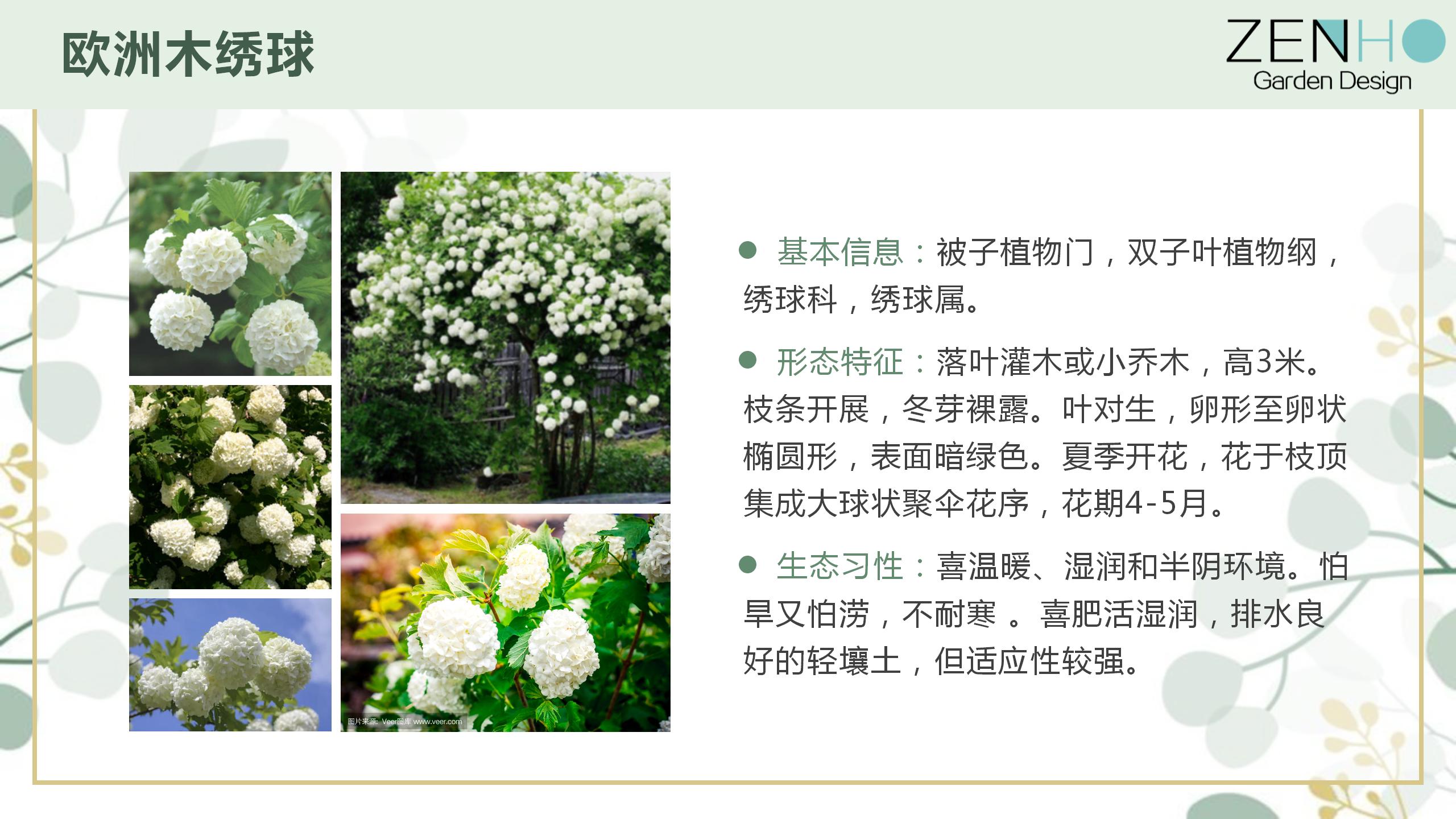 植物清單更新增添_17.jpg