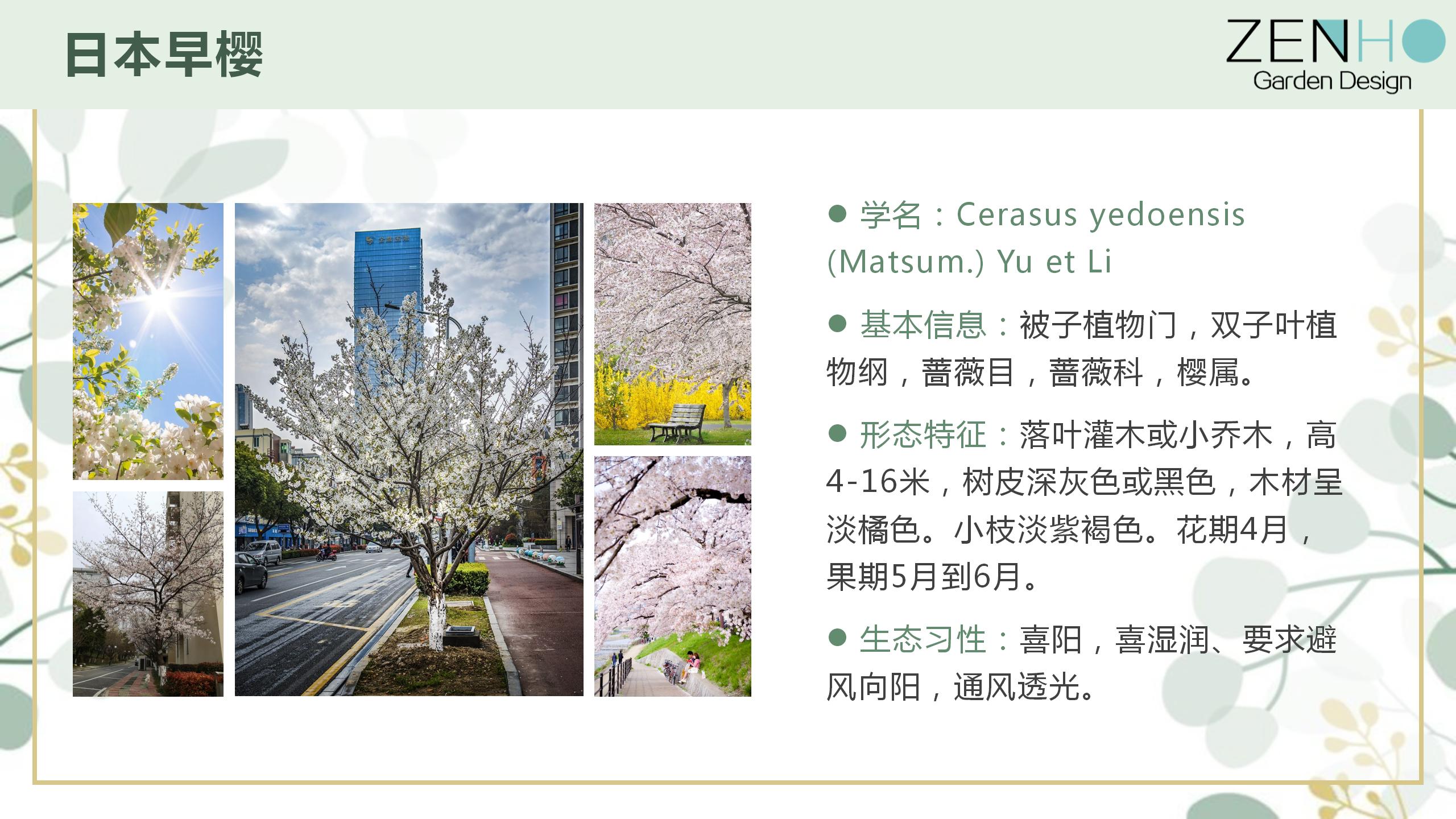 植物清單更新增添_98.jpg