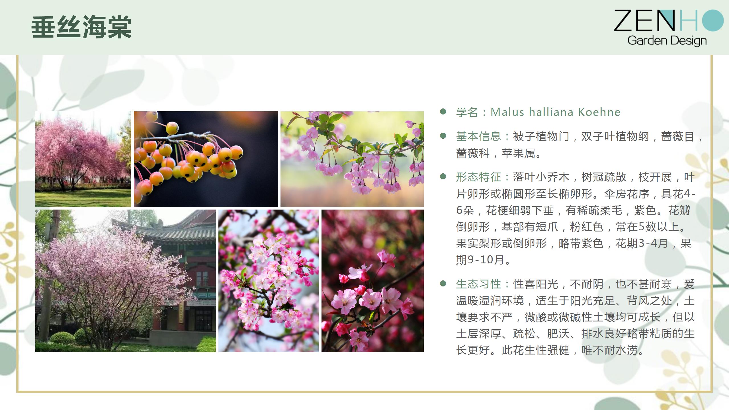 植物清單更新增添_95.jpg