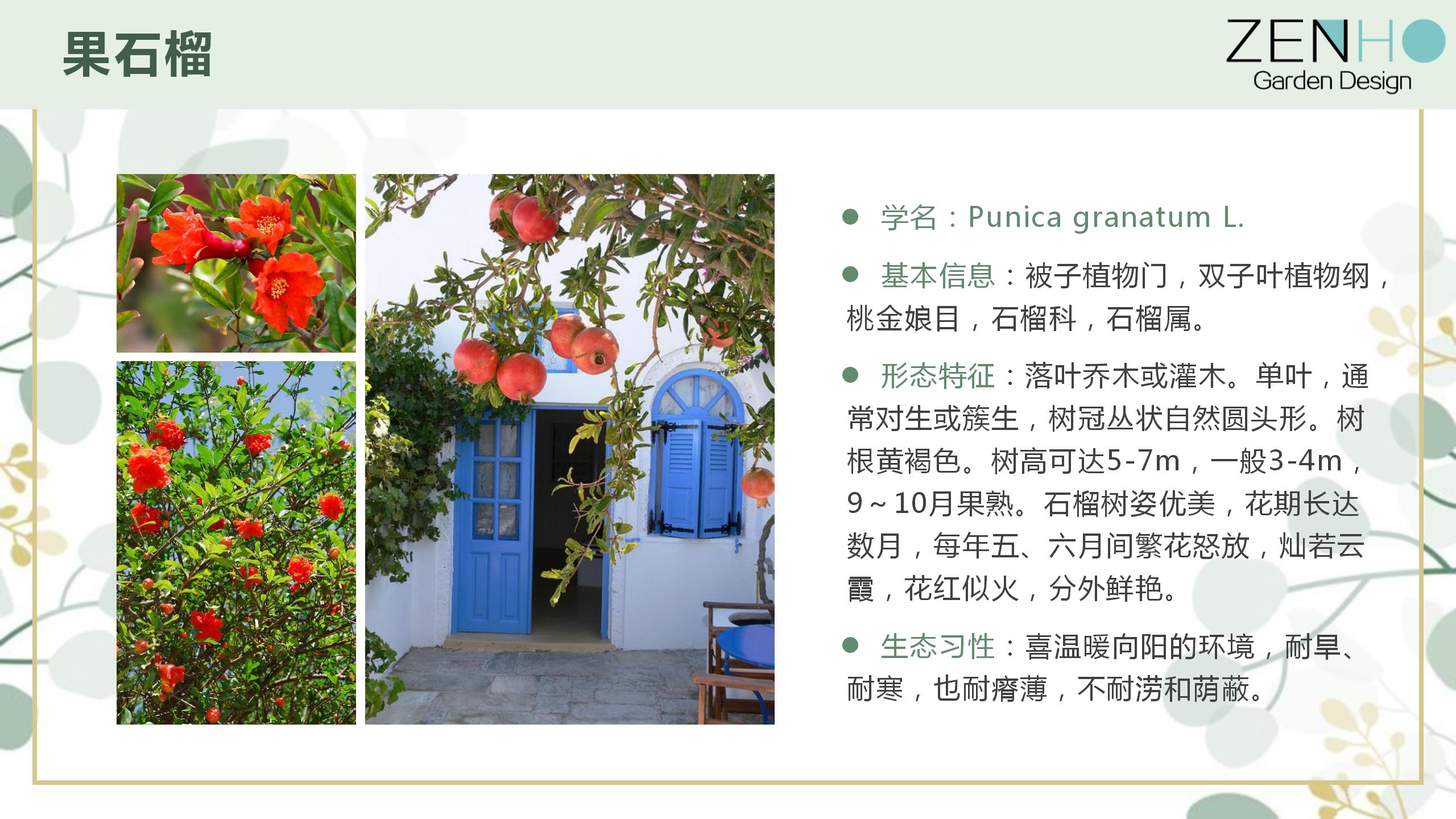 植物清單更新增添_97.jpg