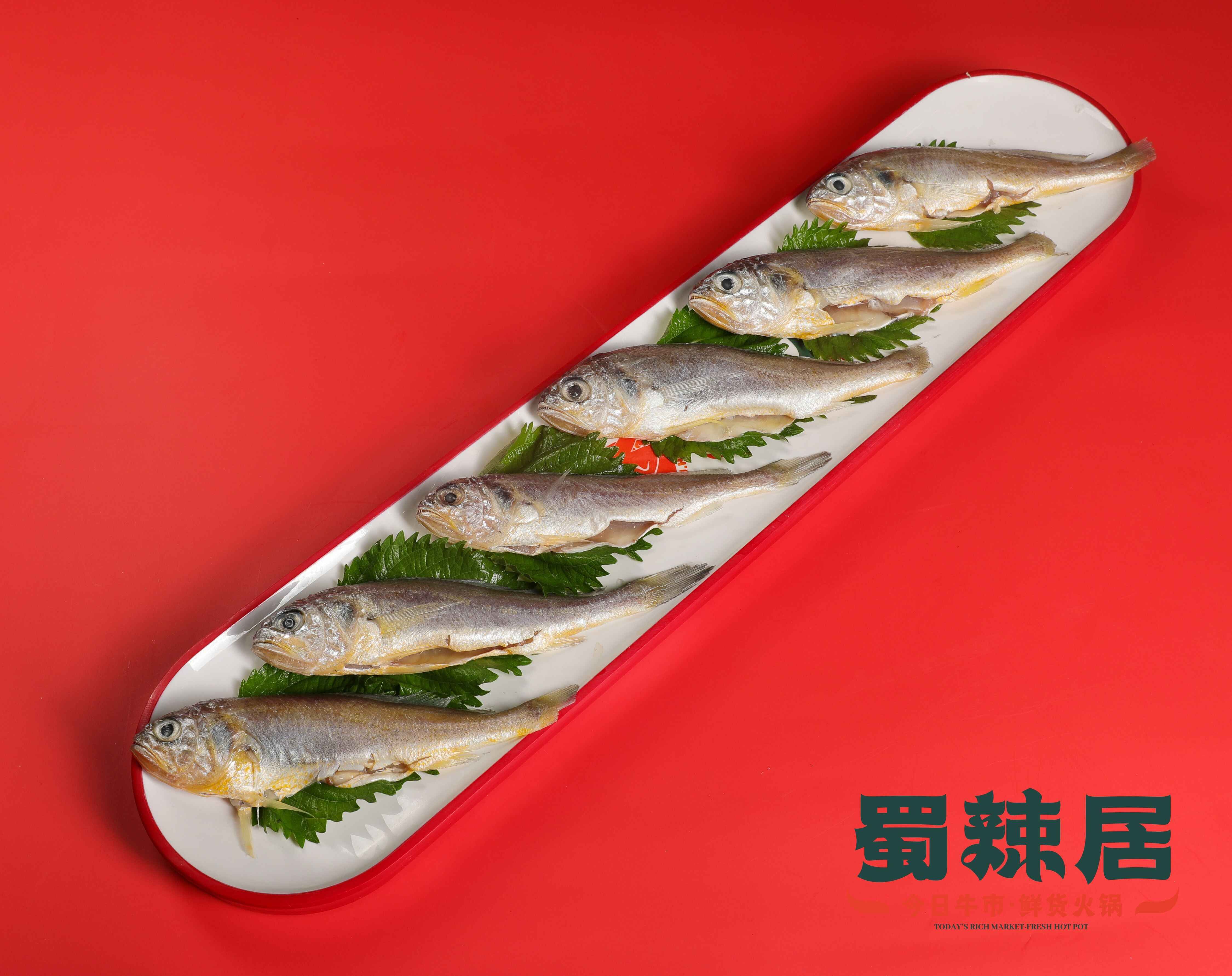 蜀辣居火鍋新菜品：深海小黃魚(yú)