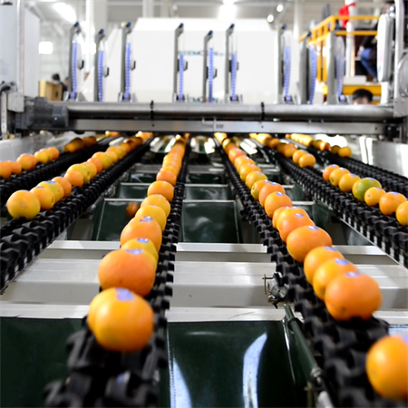 上海網(wǎng)夫柯傳動(dòng)于2010年成功進(jìn)入果蔬分選行業(yè)