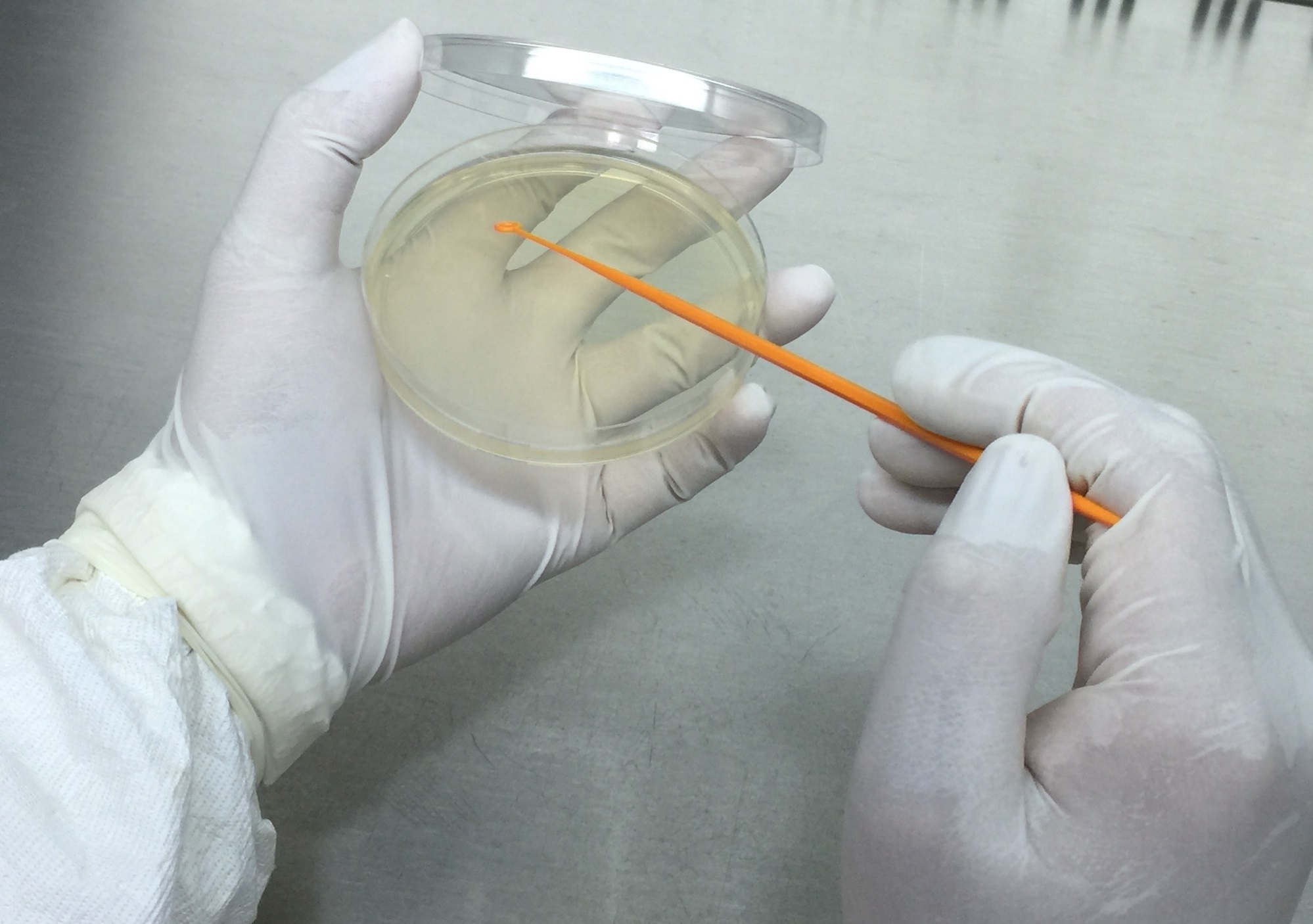 抑菌劑效力檢測