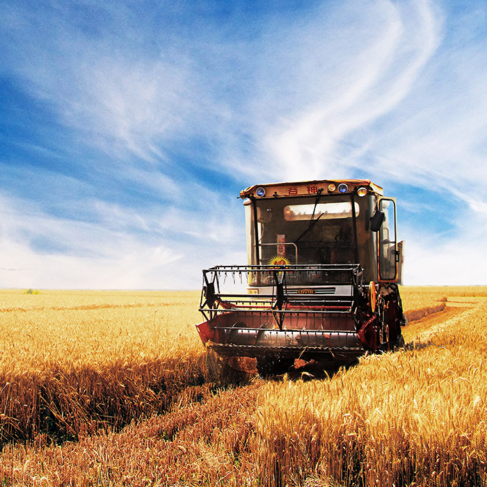 蔬菜收獲機械的介紹