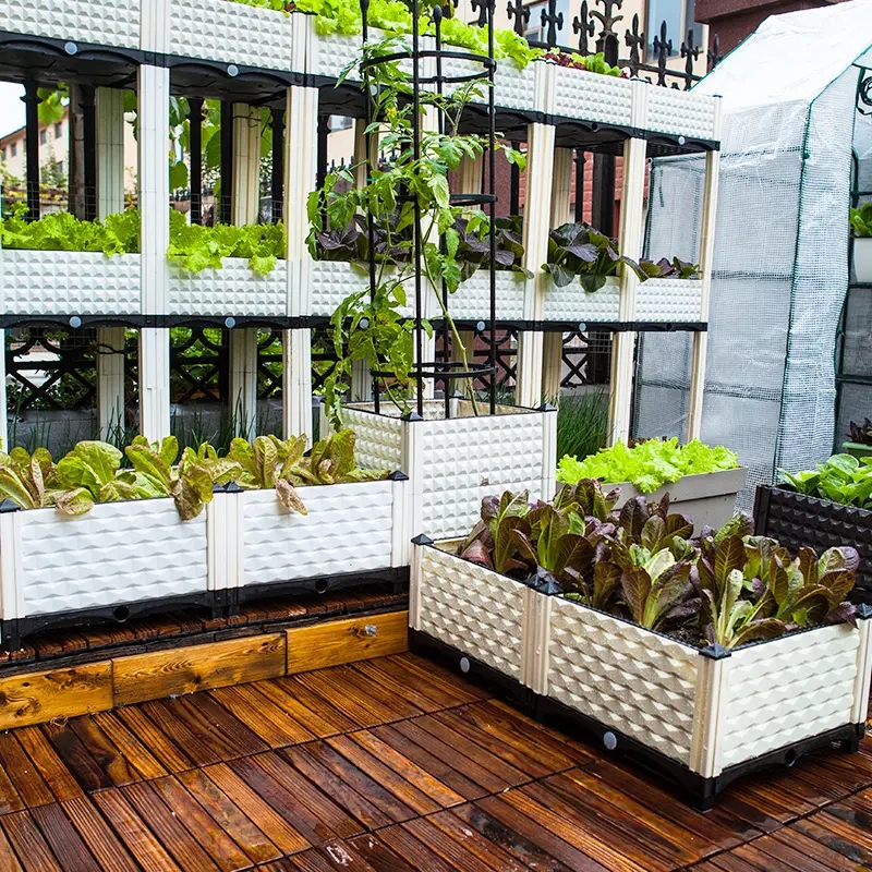 1人1平米的農(nóng)場? 實現(xiàn)1年的蔬菜自由 1人1平米的農(nóng)場? 實現(xiàn)1年的蔬菜自由