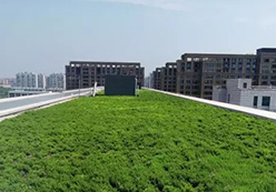 笔直绿化在校园景观建设中的意义