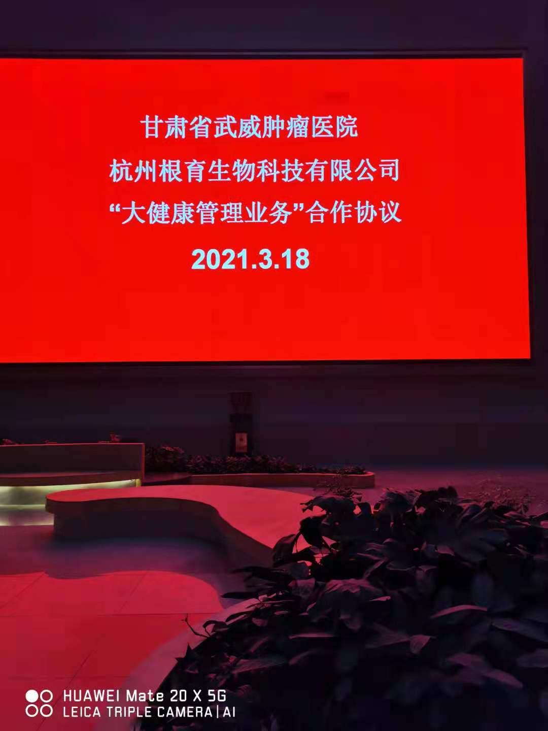 戰(zhàn)略合作.jpg