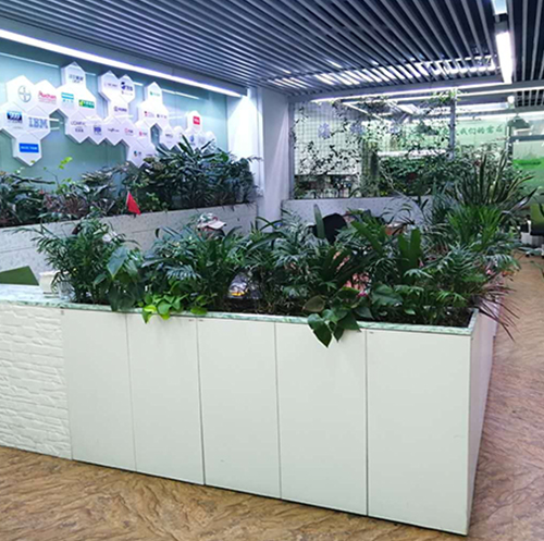 LEHU乐虎公司办公区域植物家具