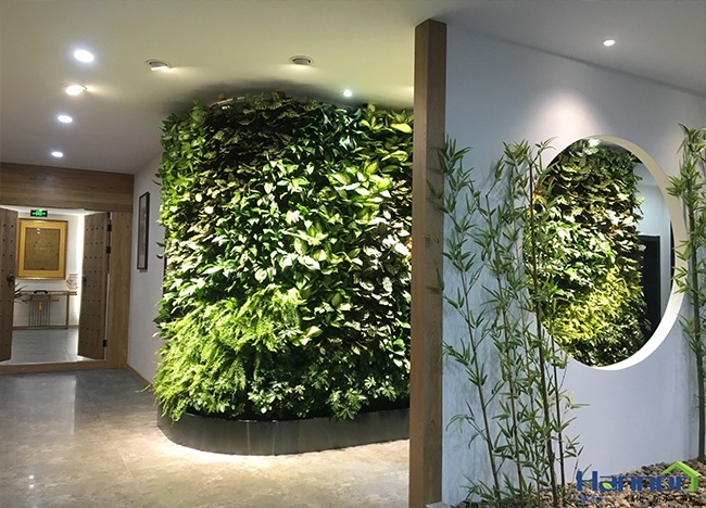 植物墙该怎样养护