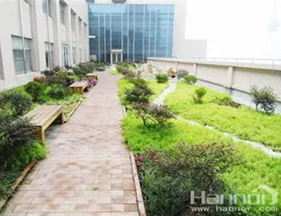 屋顶绿化项目案例