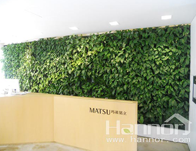 植物墙系统