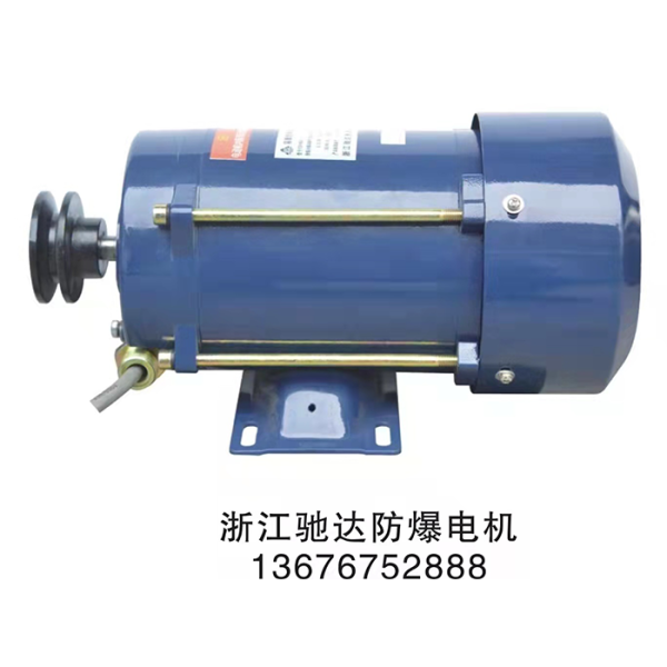 油氣回收防爆電機