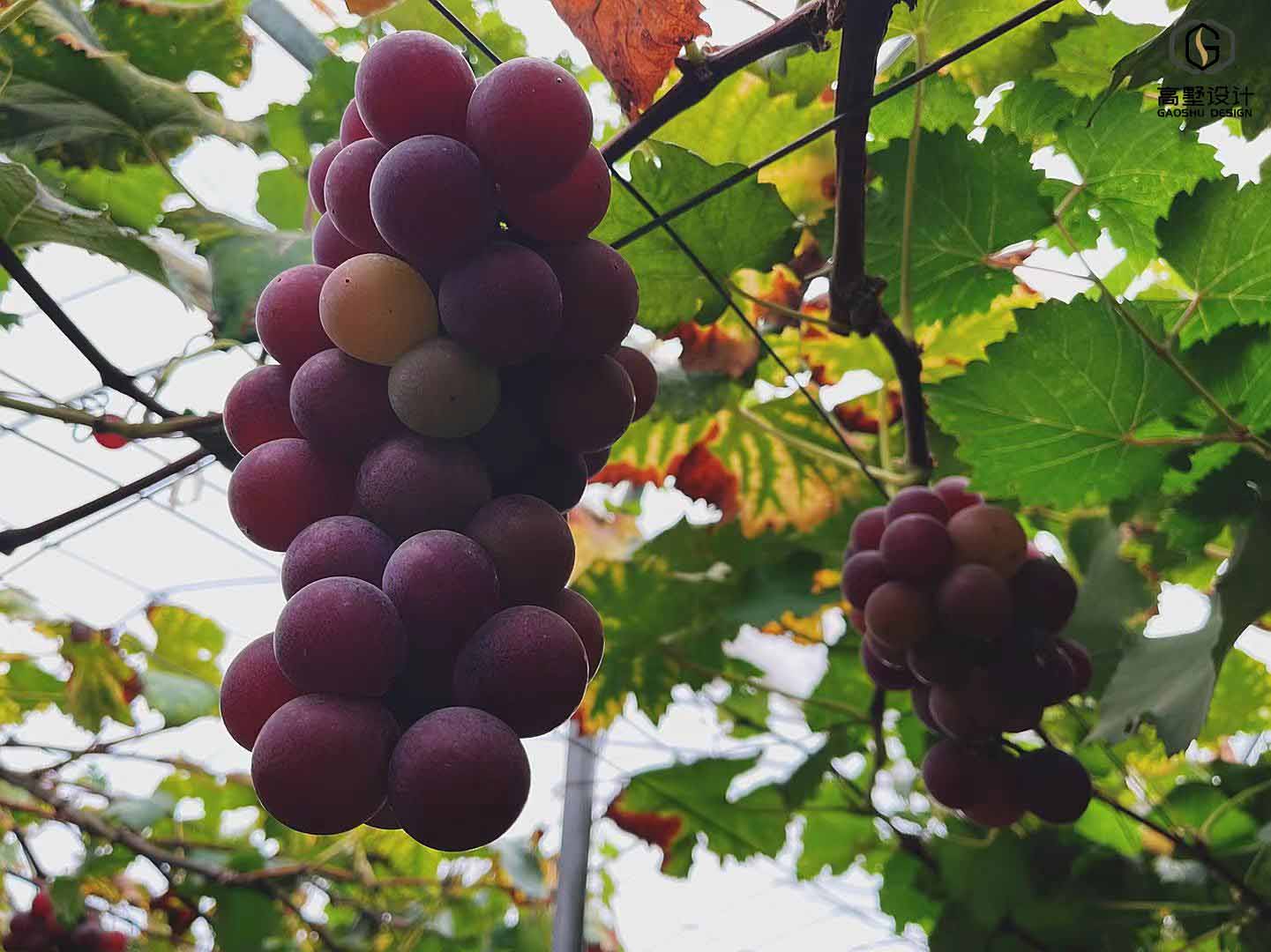 微信图片_20210908121443.jpg