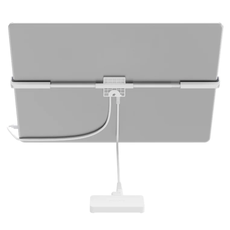 electronic security device 