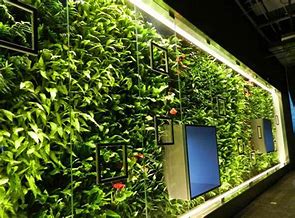 wKj0iWJc_MOAalW-AABr1ex5gqk596