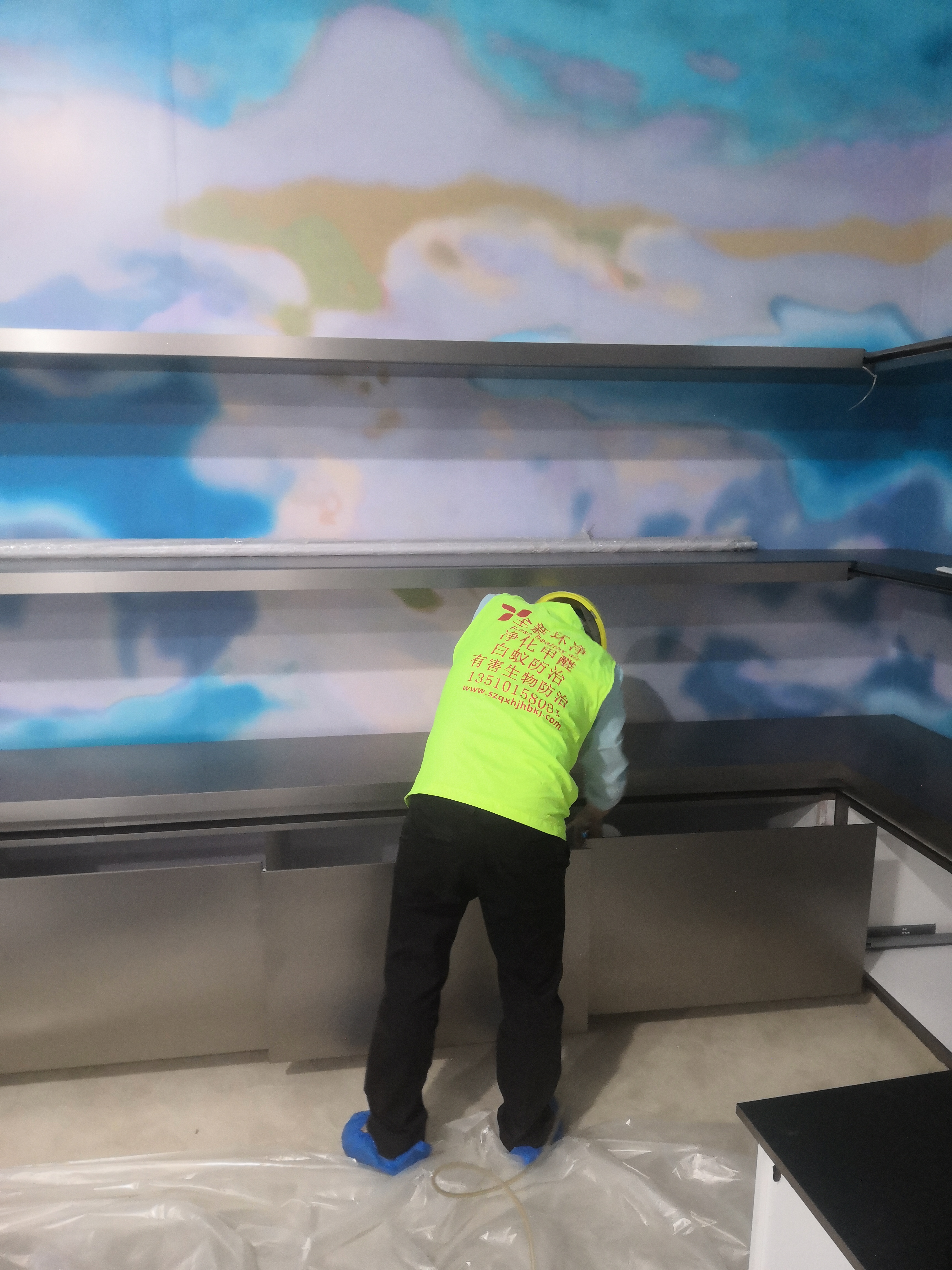 全新環(huán)凈帶你了解植物除甲醛到底靠不靠譜