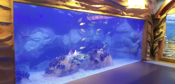 海洋館設(shè)備