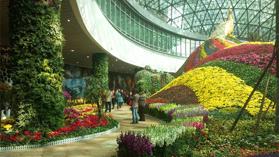 花之城318.jpg